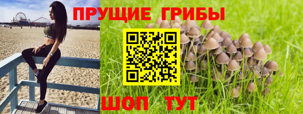 Галлюциногенные грибы Psilocybe  Галлюциногенные грибы Magic Shrooms  Торжок  Вход с VPN 