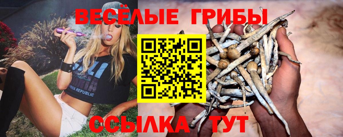 Галлюциногенные грибы Cubensis Торжок